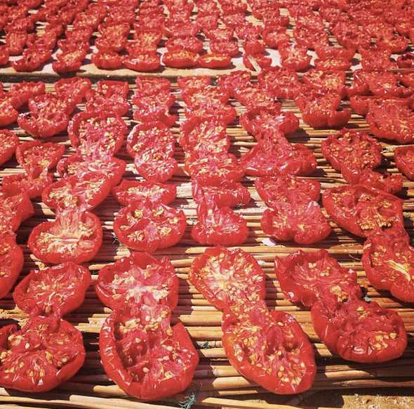 Sun Dried Tomatoes in Balata di Baida